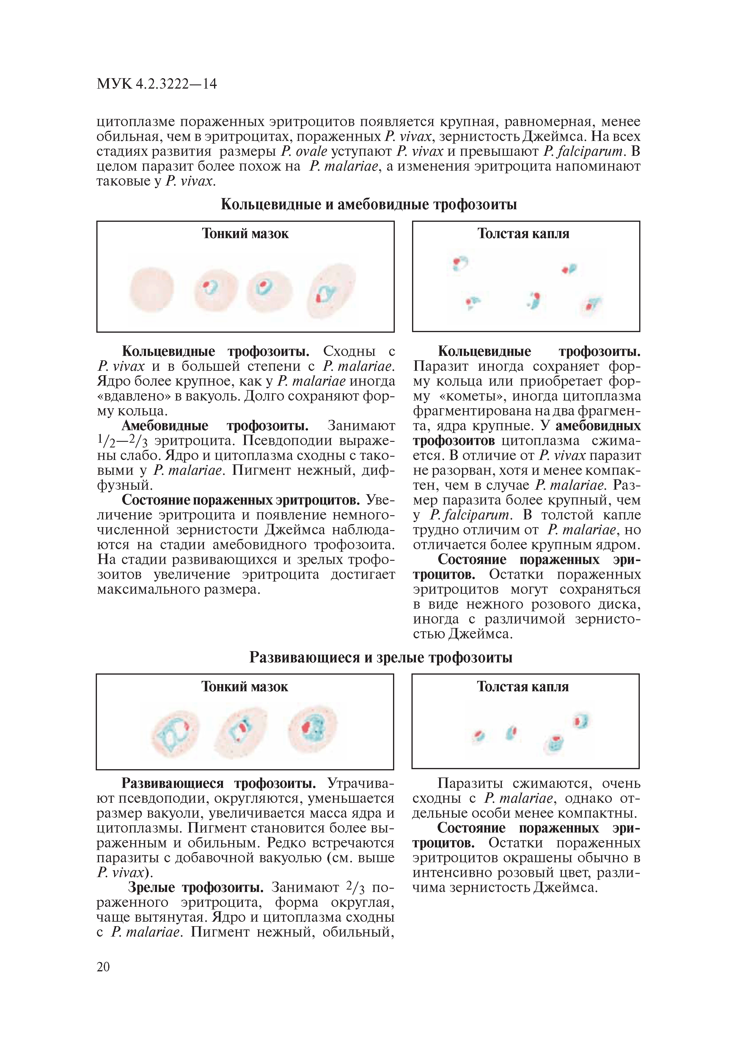 МУК 4.2.3222-14