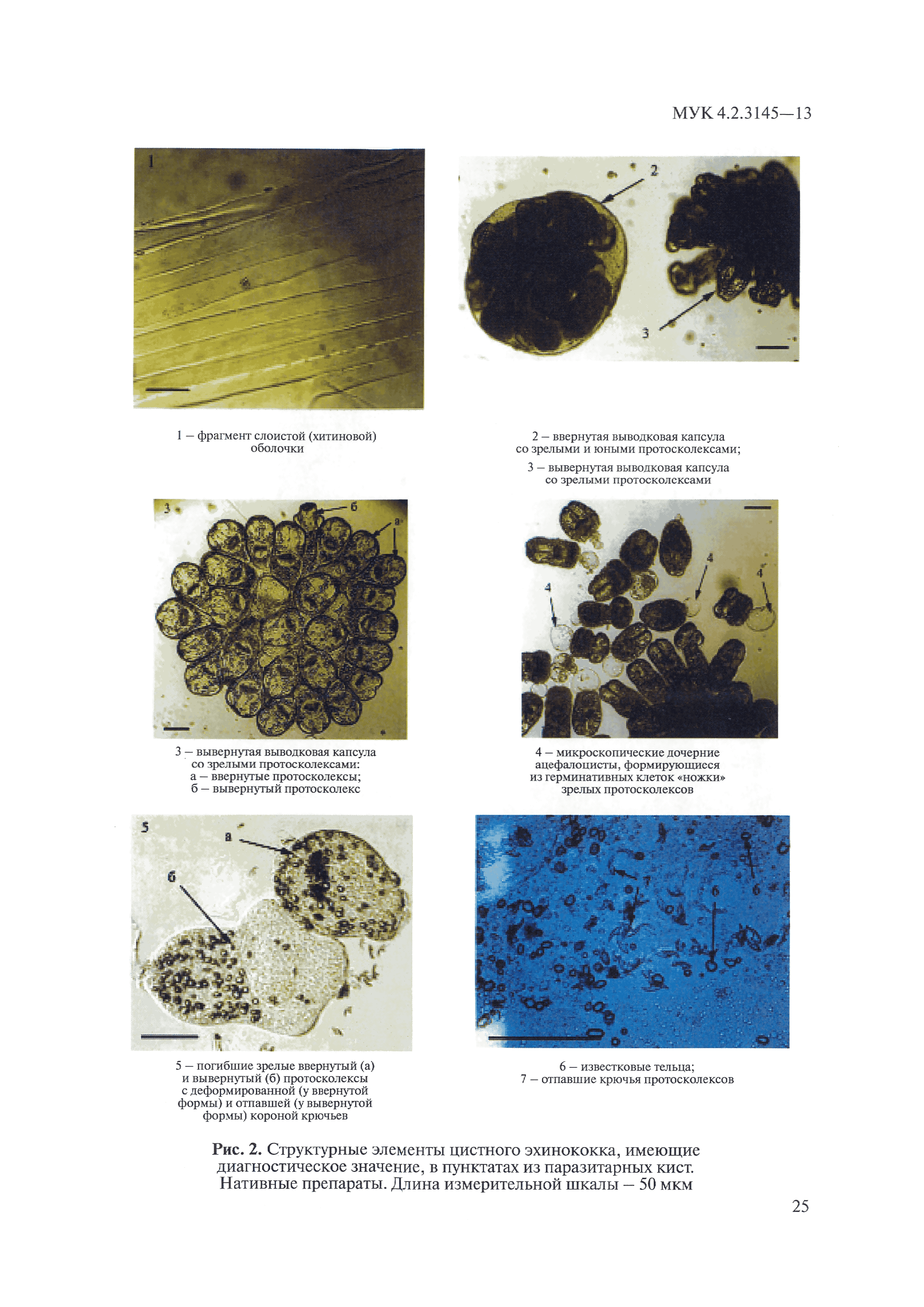 МУК 4.2.3145-13