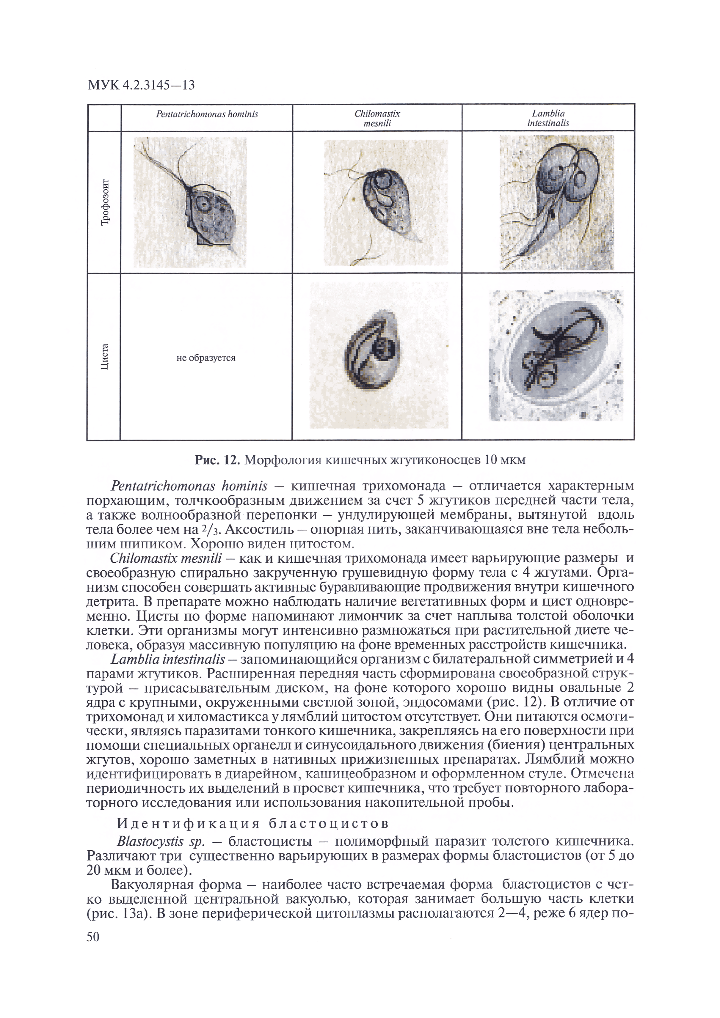 МУК 4.2.3145-13