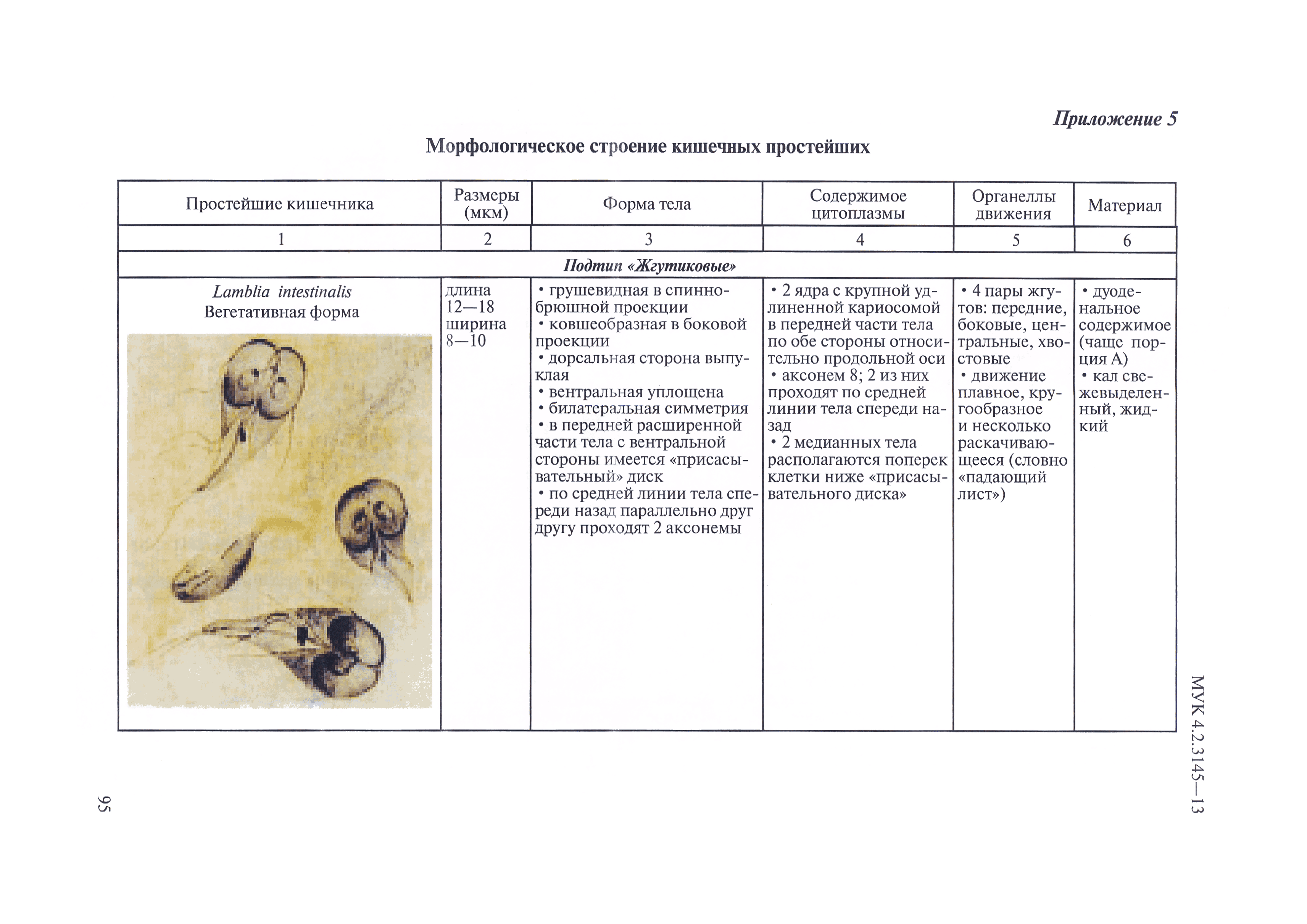 МУК 4.2.3145-13