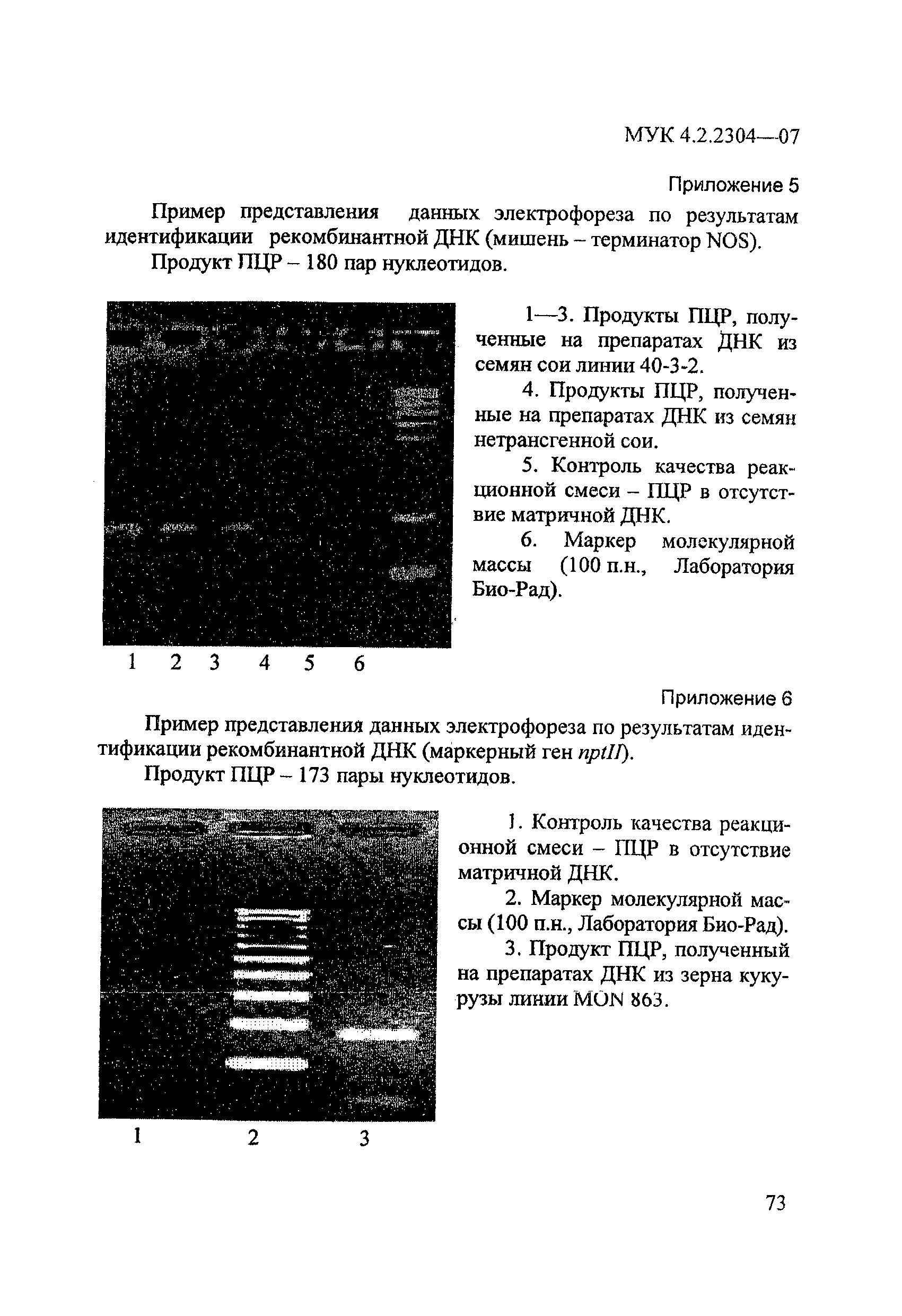 МУК 4.2.2304-07