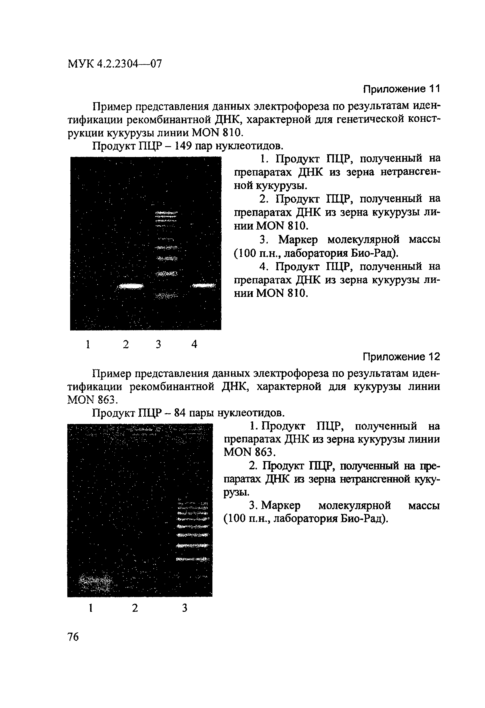 МУК 4.2.2304-07