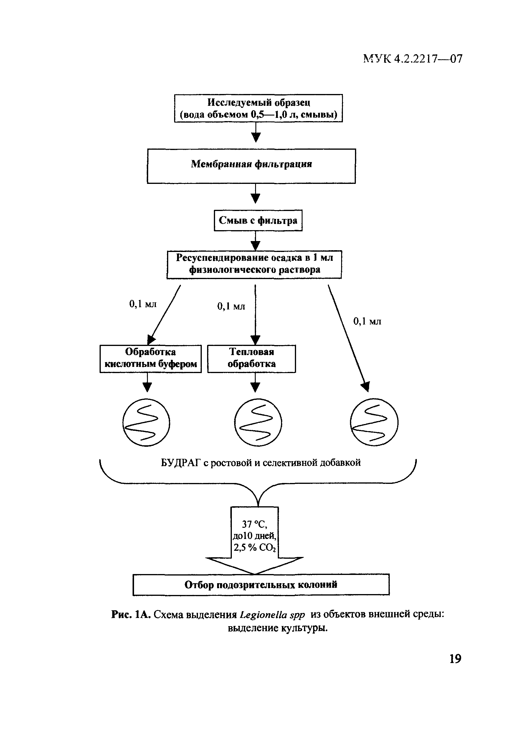 МУК 4.2.2217-07