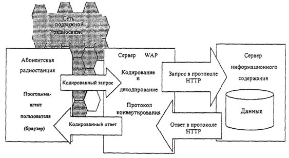 Описание: 1001329_1