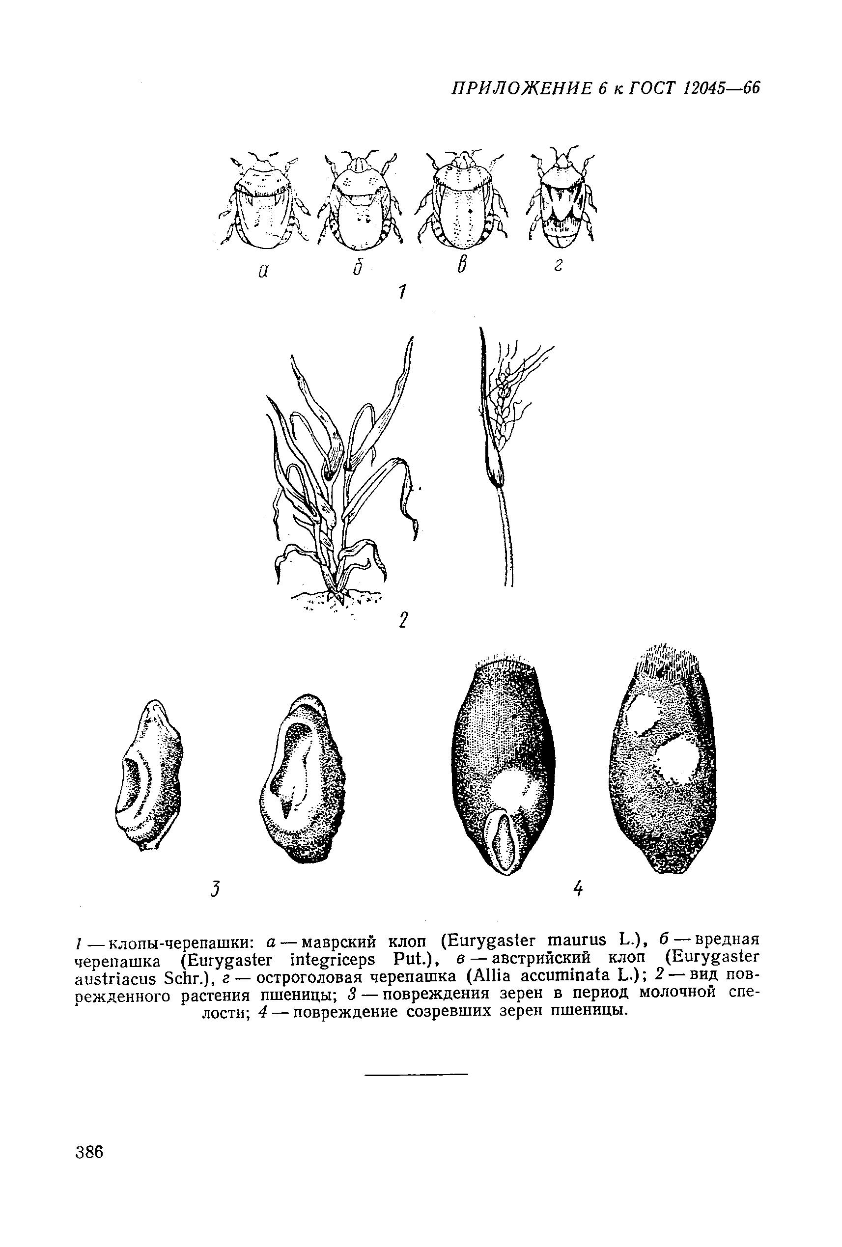 ГОСТ 12045-66