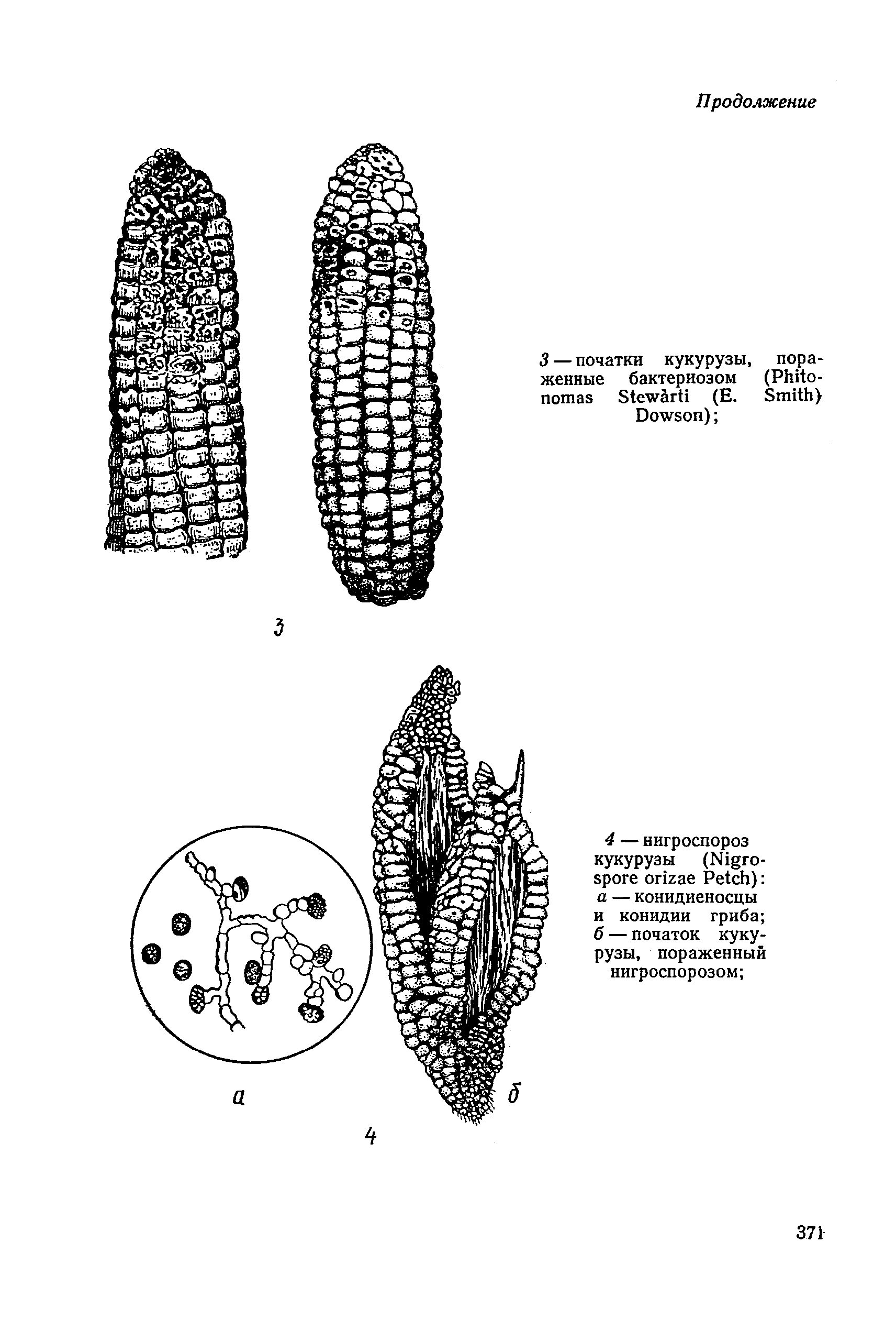 ГОСТ 12044-66