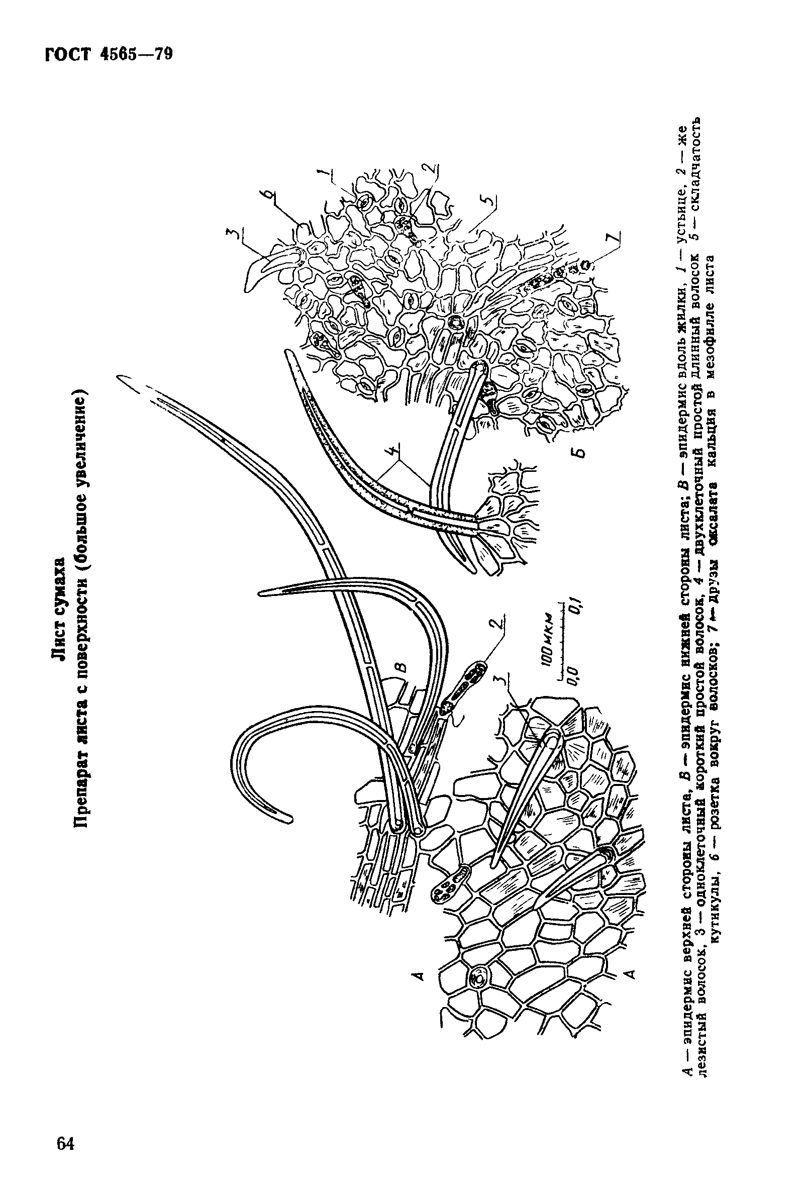 ГОСТ 4565-79