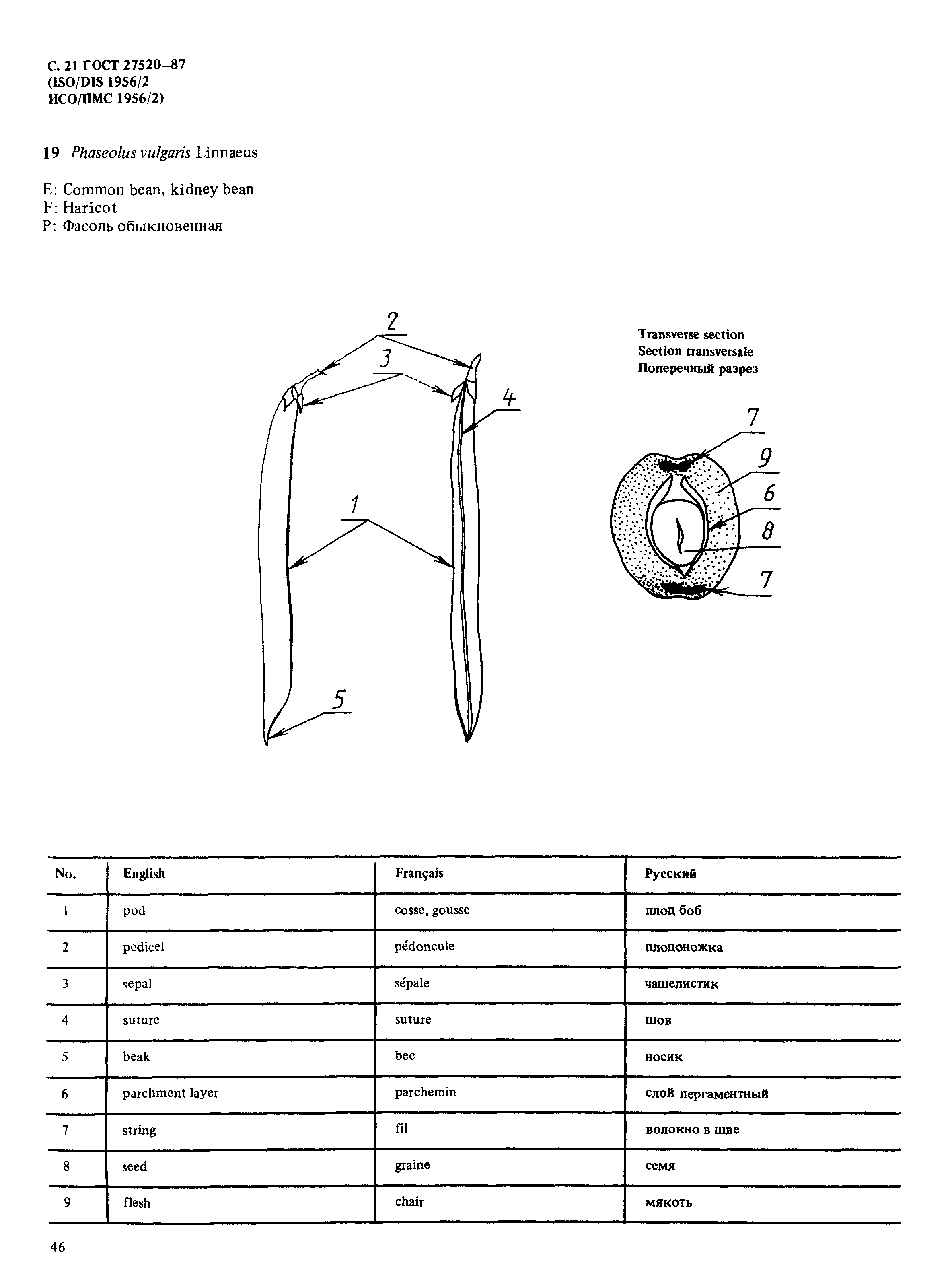 ГОСТ 27520-87