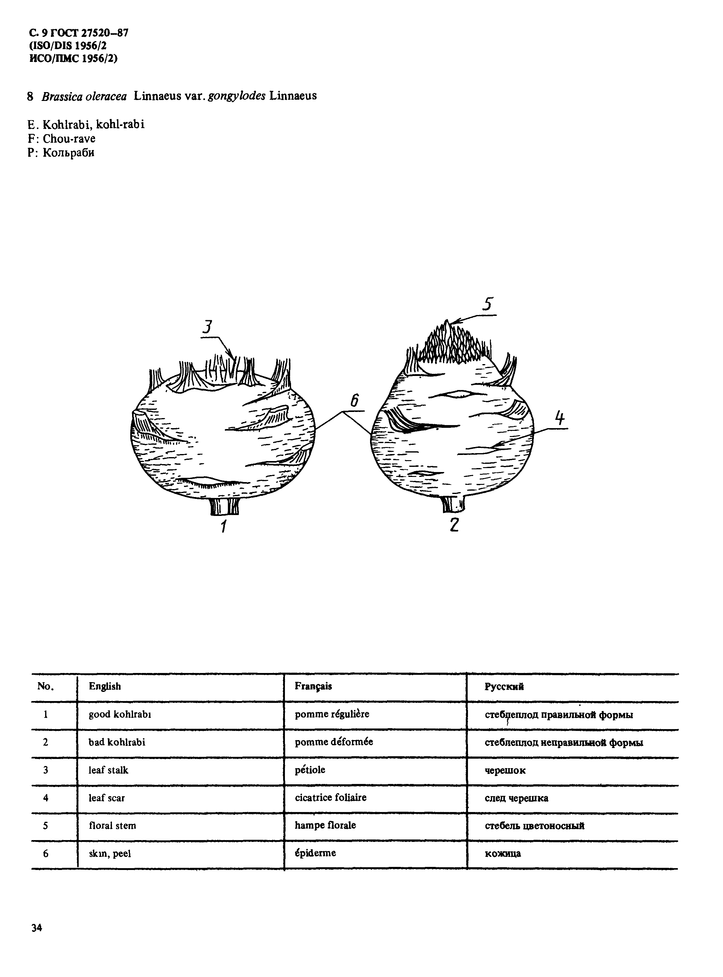 ГОСТ 27520-87