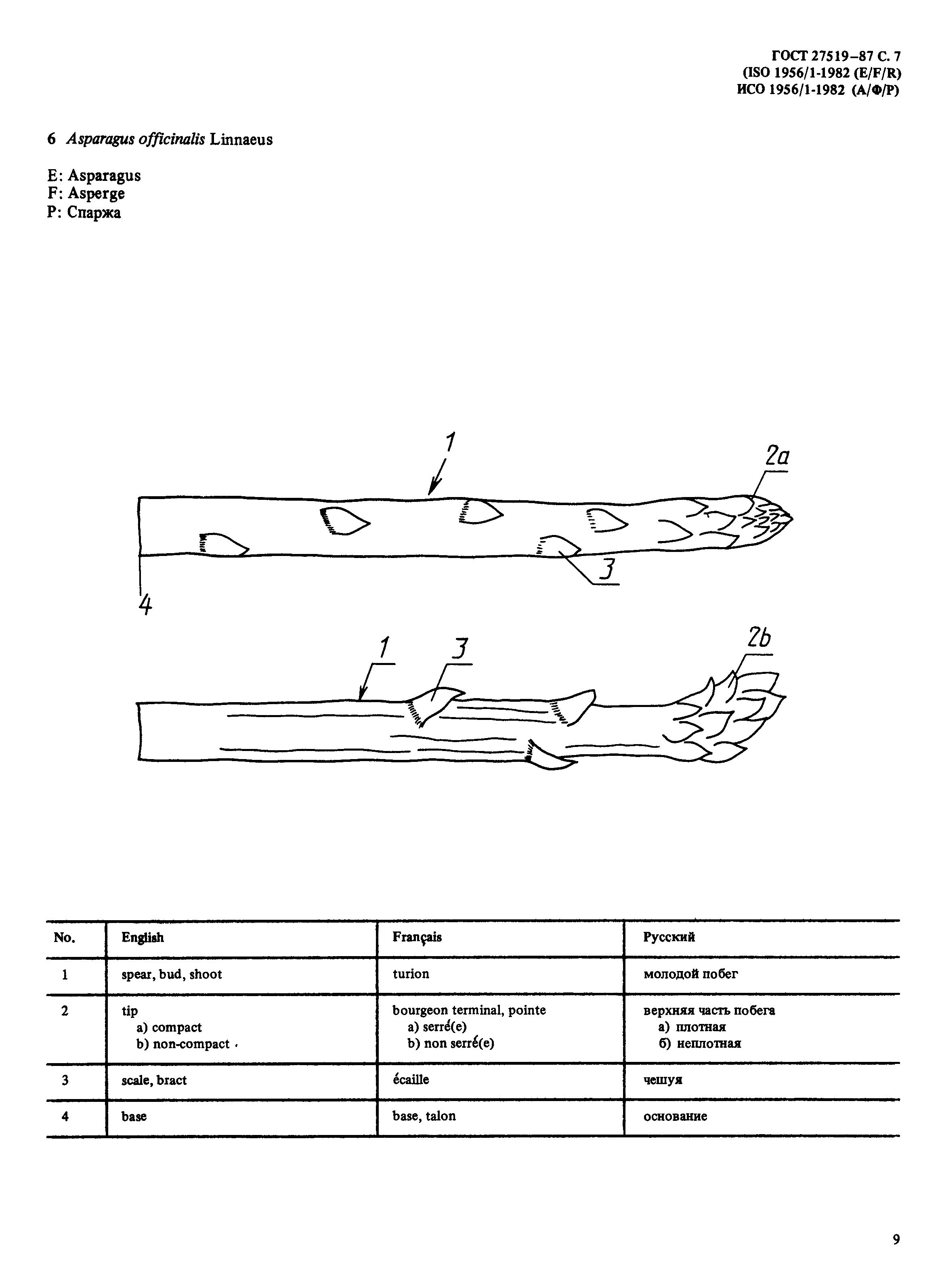 ГОСТ 27519-87