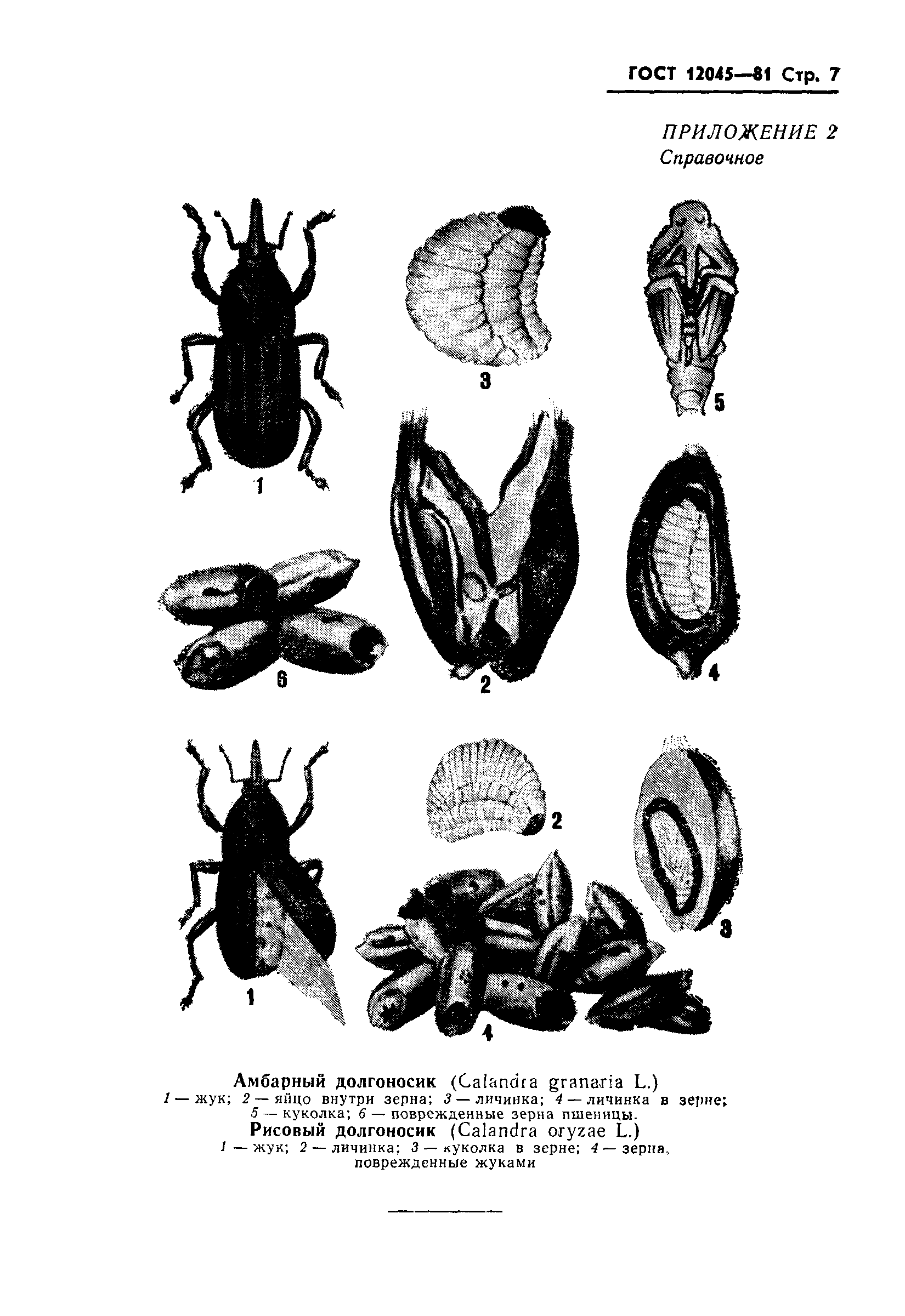 ГОСТ 12045-81