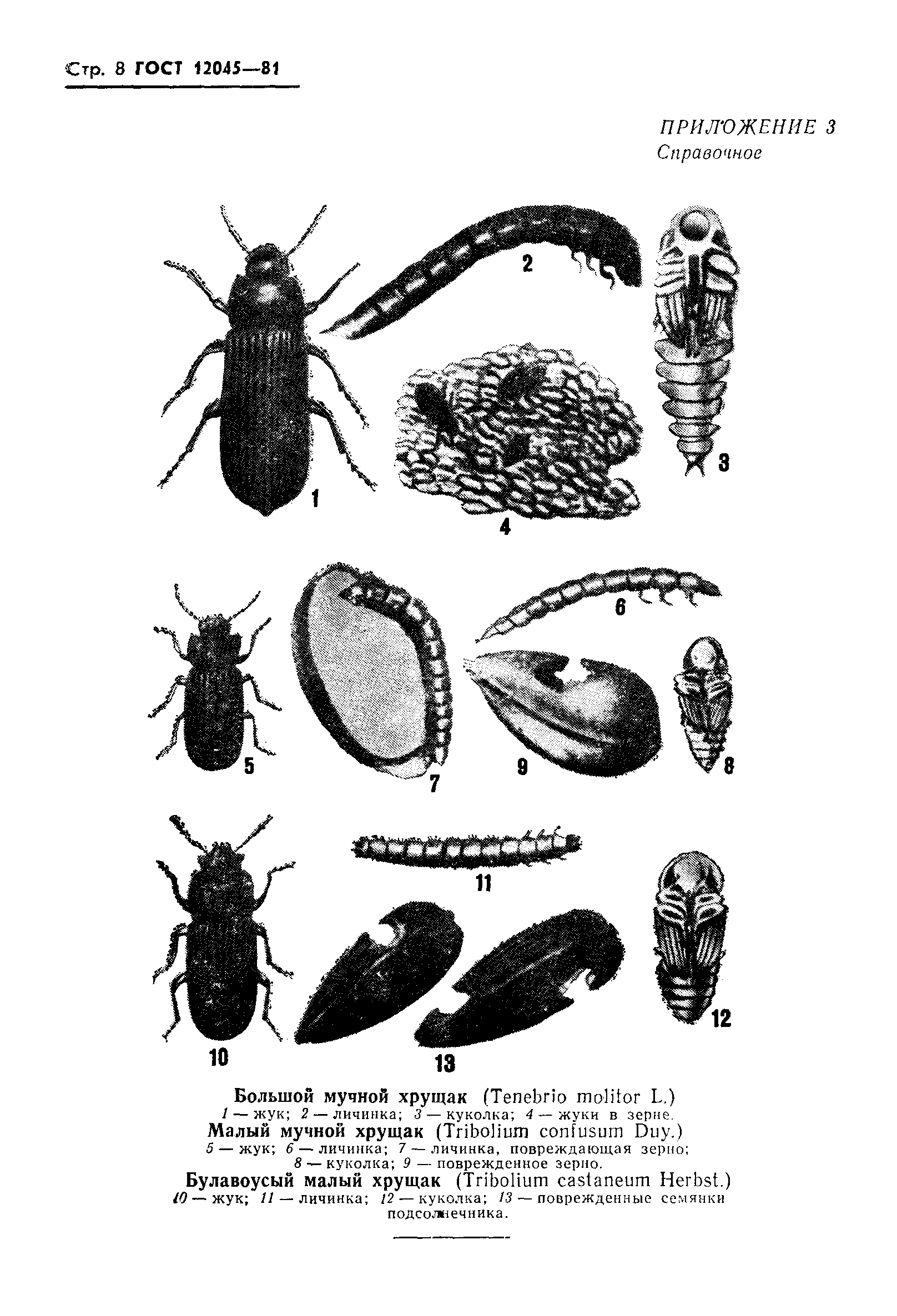 ГОСТ 12045-81