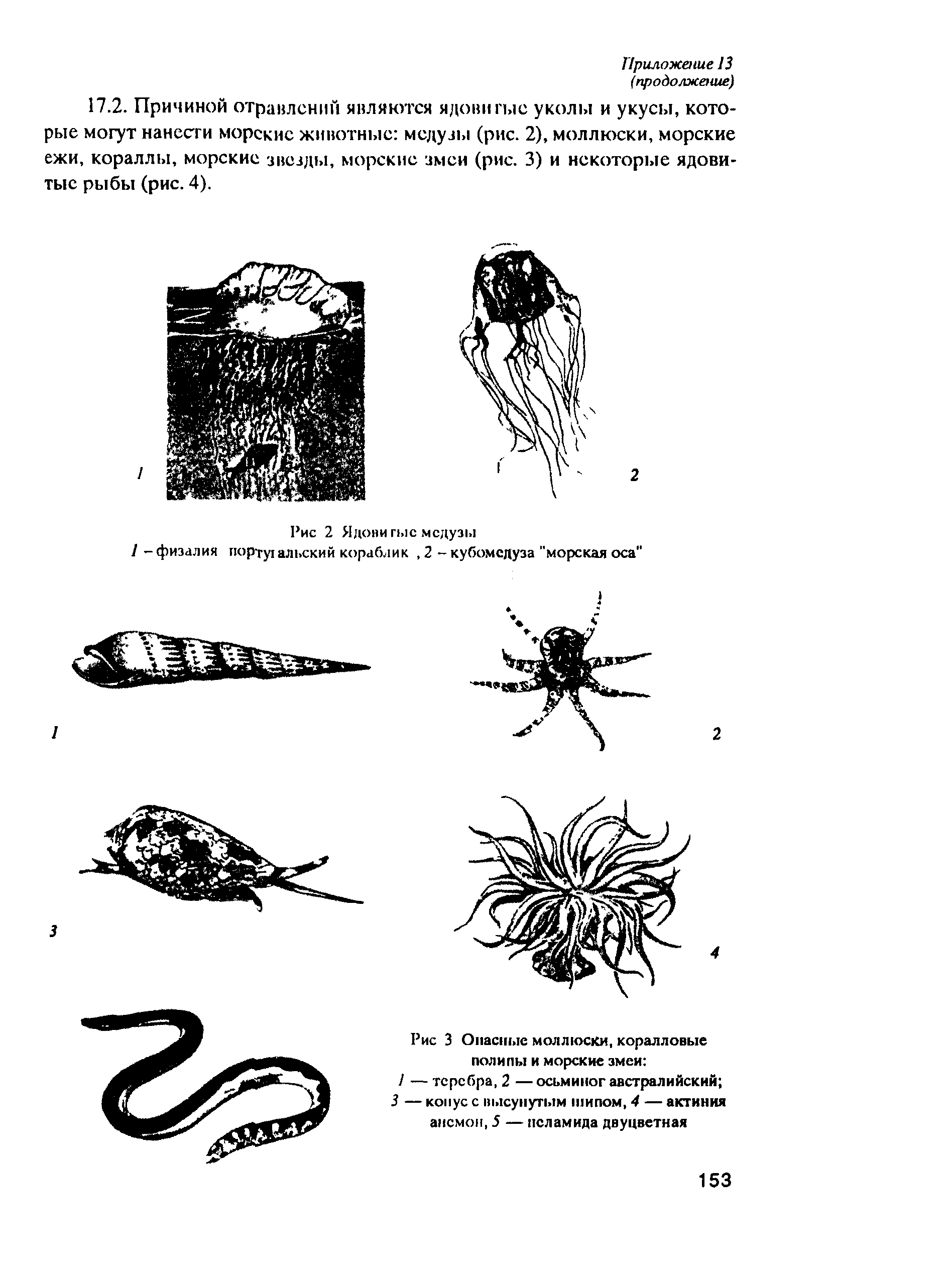 РД 31.84.01-90