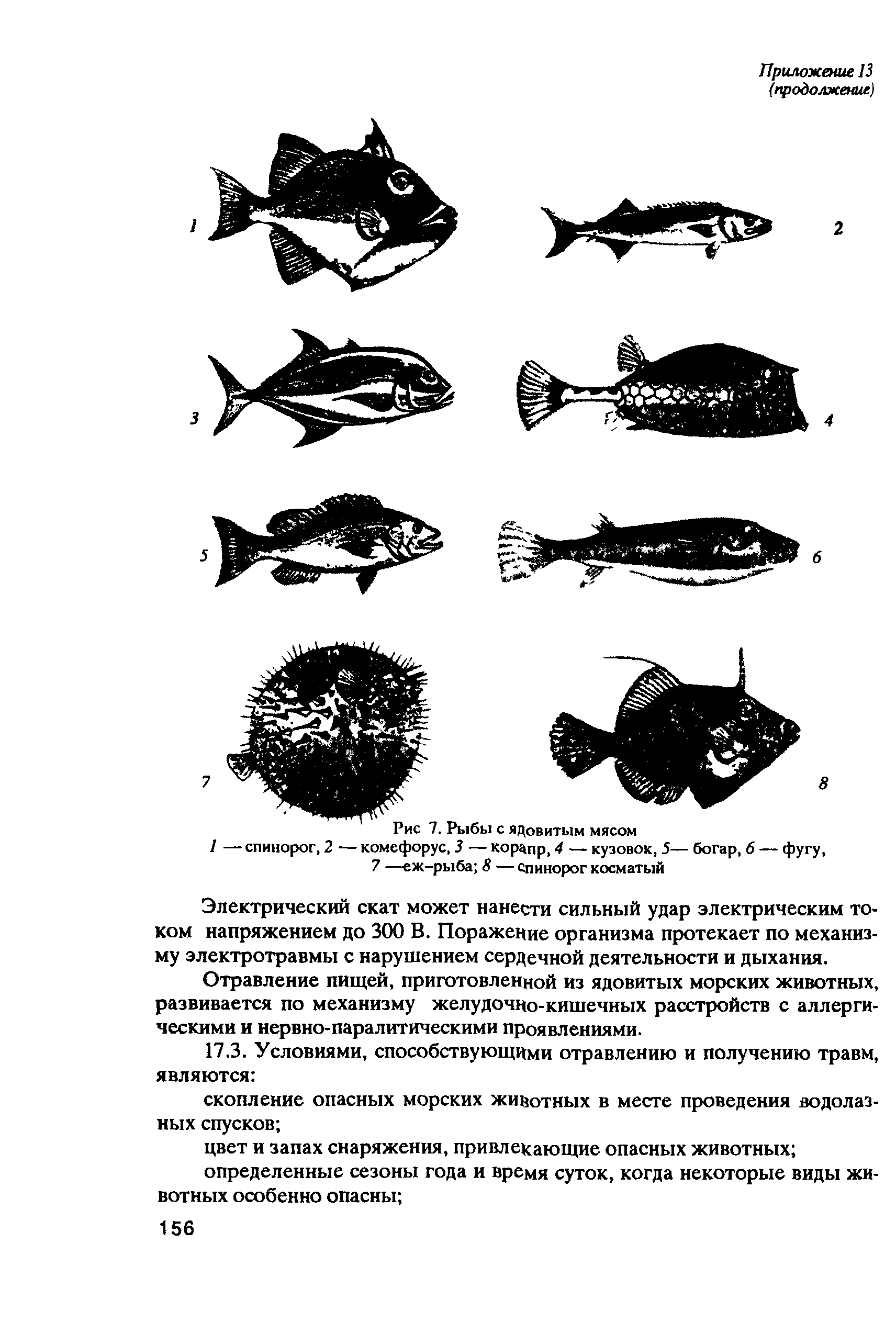 РД 31.84.01-90