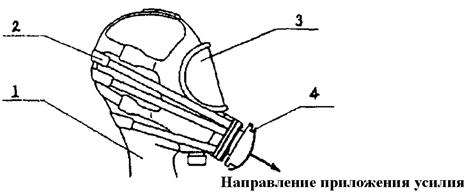 Описание: БезИмени-1 copy