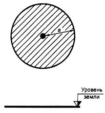 Описание: вика