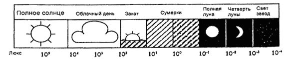 Описание: Untitled-1